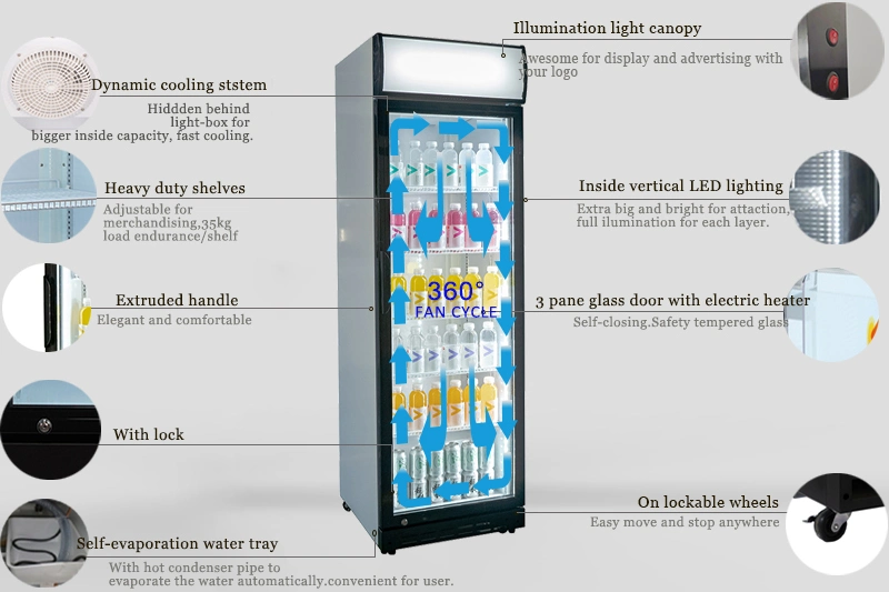 High Quality Single Door Upright Showcase, Upright Cooler, Glass Door Merchandiser Commercial Soft Drinks Upright Showcase Glass Door with Ce, ETL Certificate