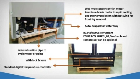Vetrina refrigerata verticale per bevande e bevande con doppia porta in vetro R290 Merchandiser per porta in vetro con dispositivo di raffreddamento per bevande